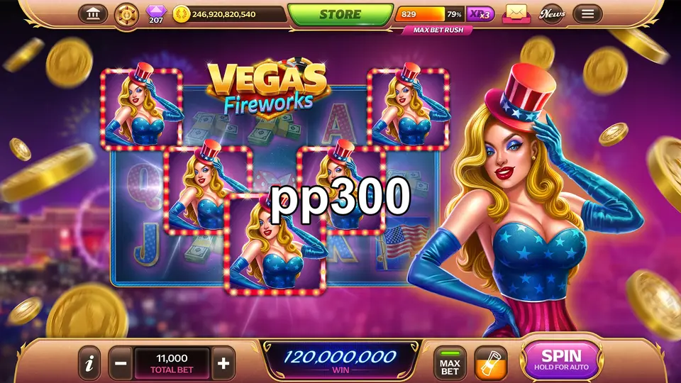 pp300 Login