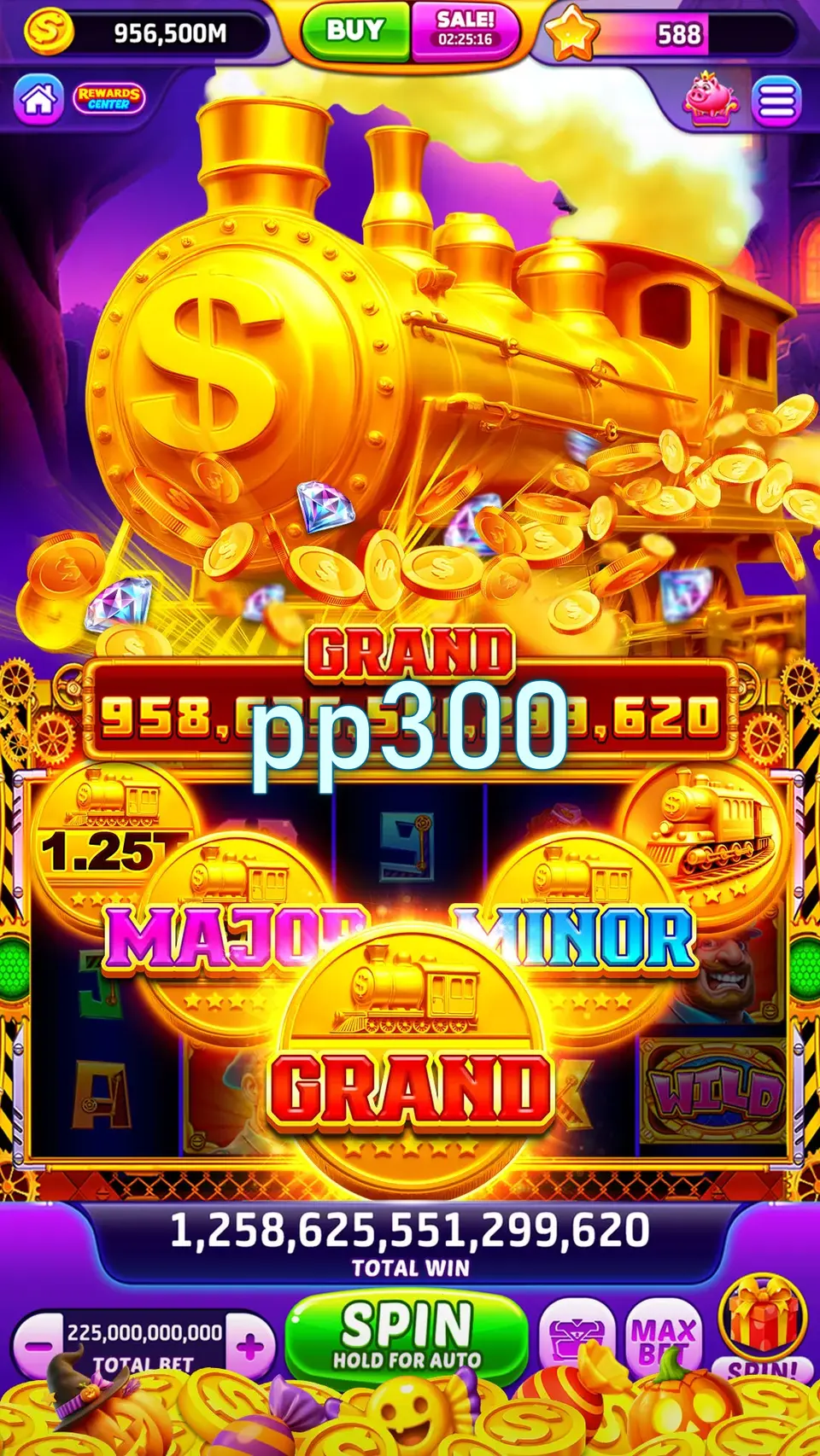 pp300 Login